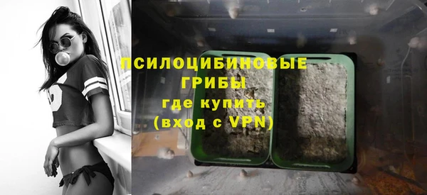 эйфоретик Богданович