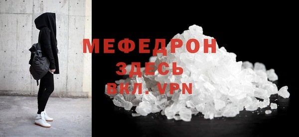 МДПВ Бородино