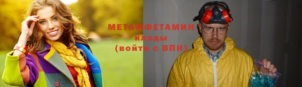 прущие грибы Бронницы