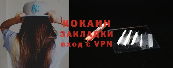 эйфоретик Богданович