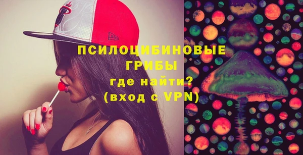 ALPHA-PVP Богородицк