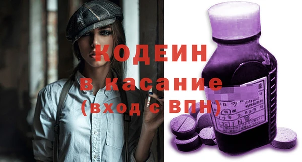 МДПВ Бородино