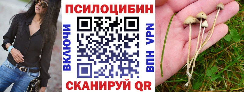 Галлюциногенные грибы мухоморы наркота Данков